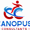 NDIS Consultant